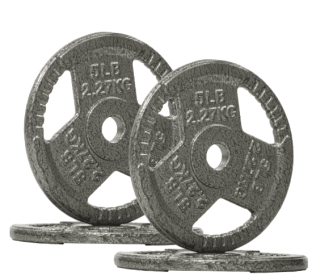 Only Supports Self Pickup  1-inch Standard Cast Iron Weight Plates For Strength Training And Weight Lifting, Multiple Weights (Option: 5LB Set of4)